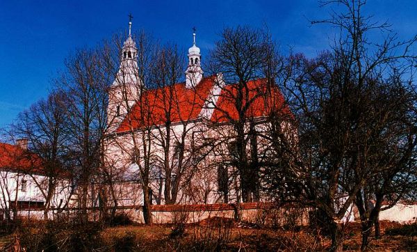 Koci w Koniemotach